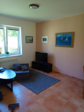 Apartmány Nová Živohošť, Slapská přehrada, River Marina